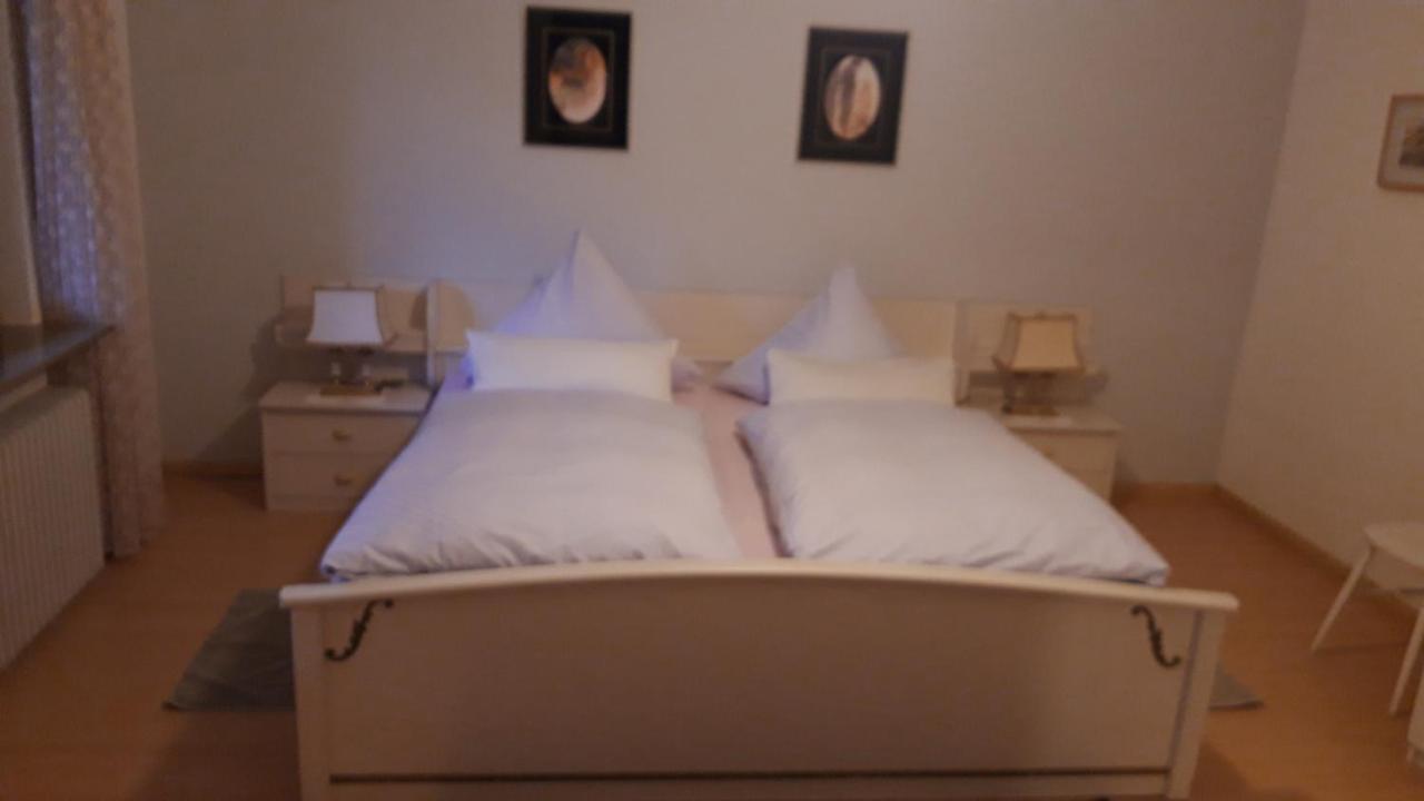 Ferienwohnung Neckarblick Heidelberg Eksteriør bilde
