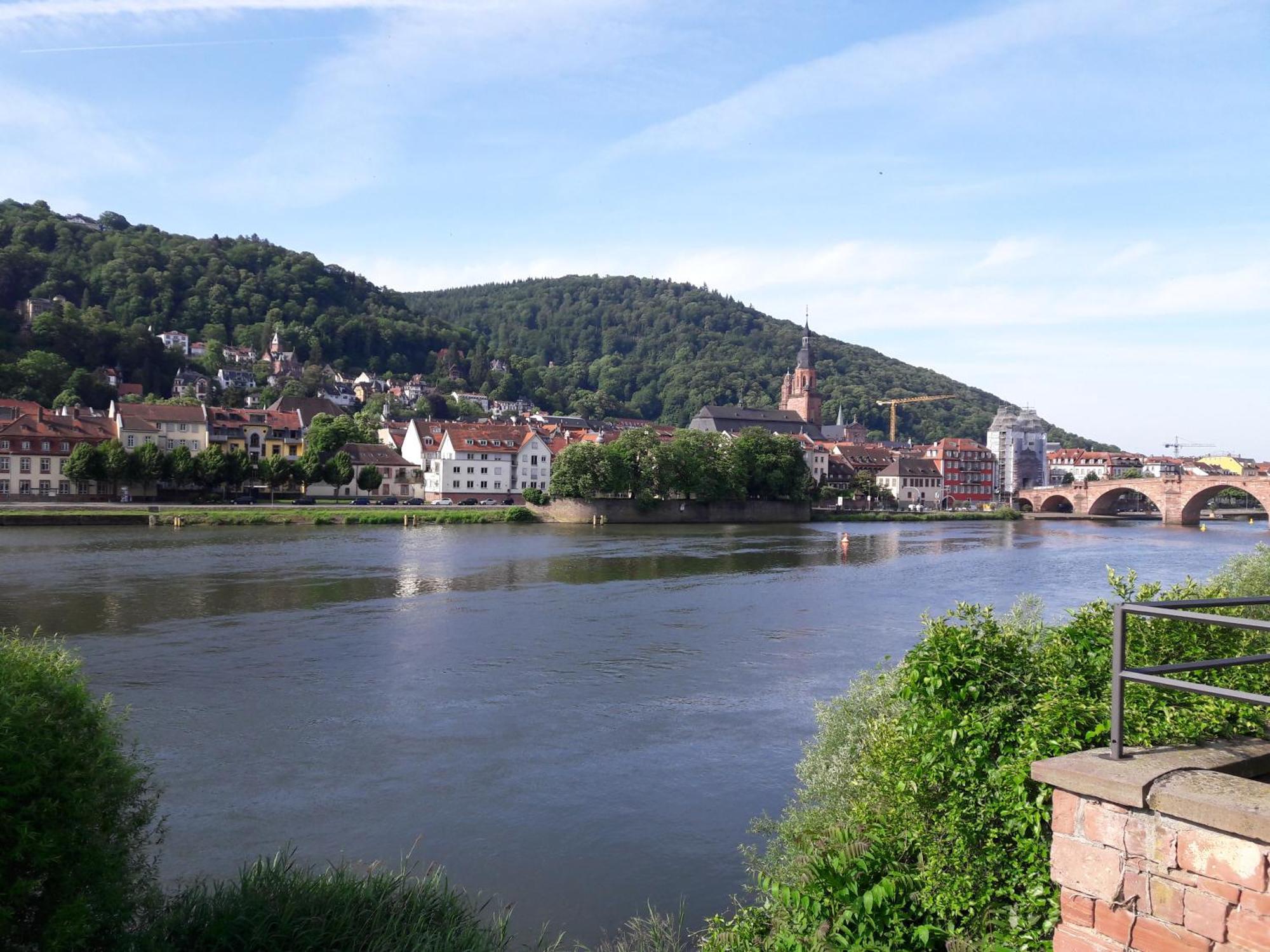 Ferienwohnung Neckarblick Heidelberg Eksteriør bilde