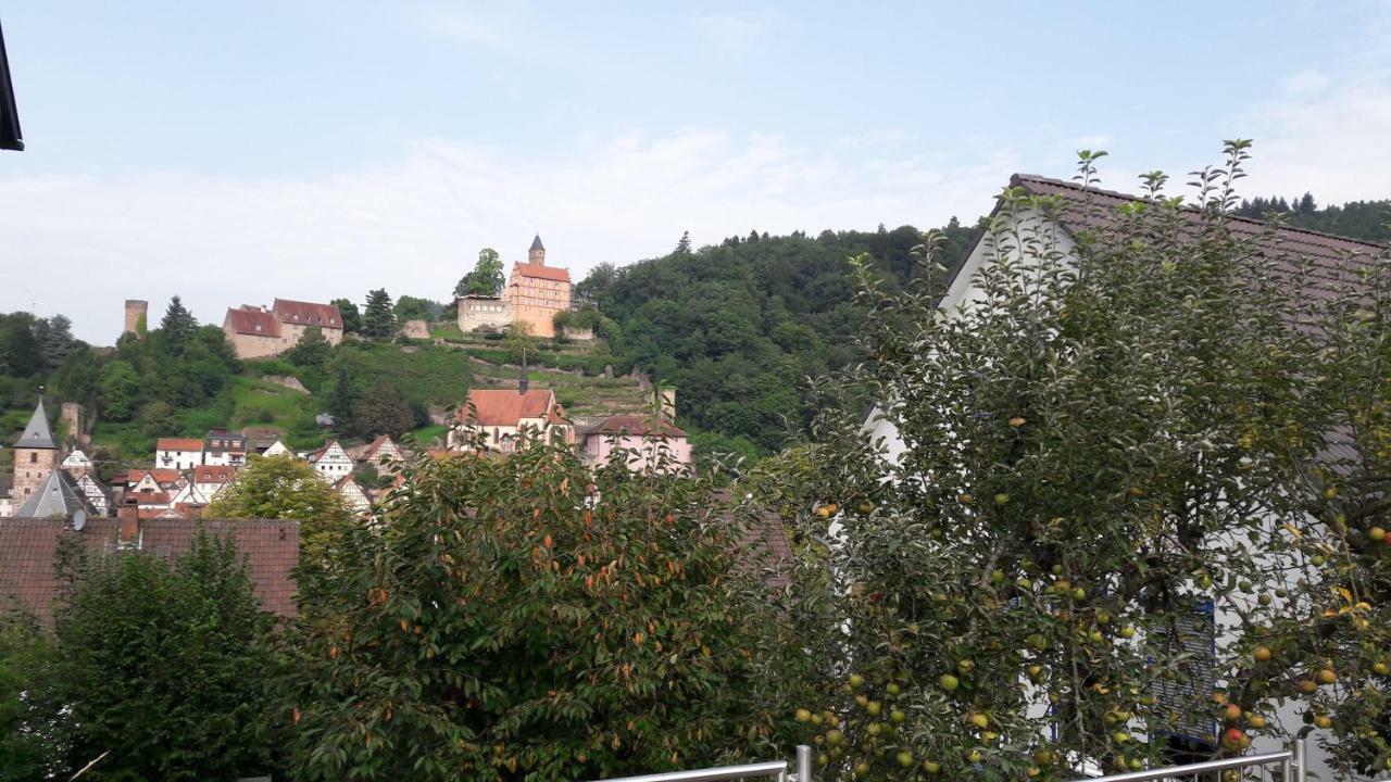 Ferienwohnung Neckarblick Heidelberg Eksteriør bilde